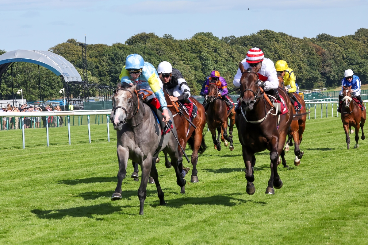 Superb Weekend Stakes Double For Dark Angel