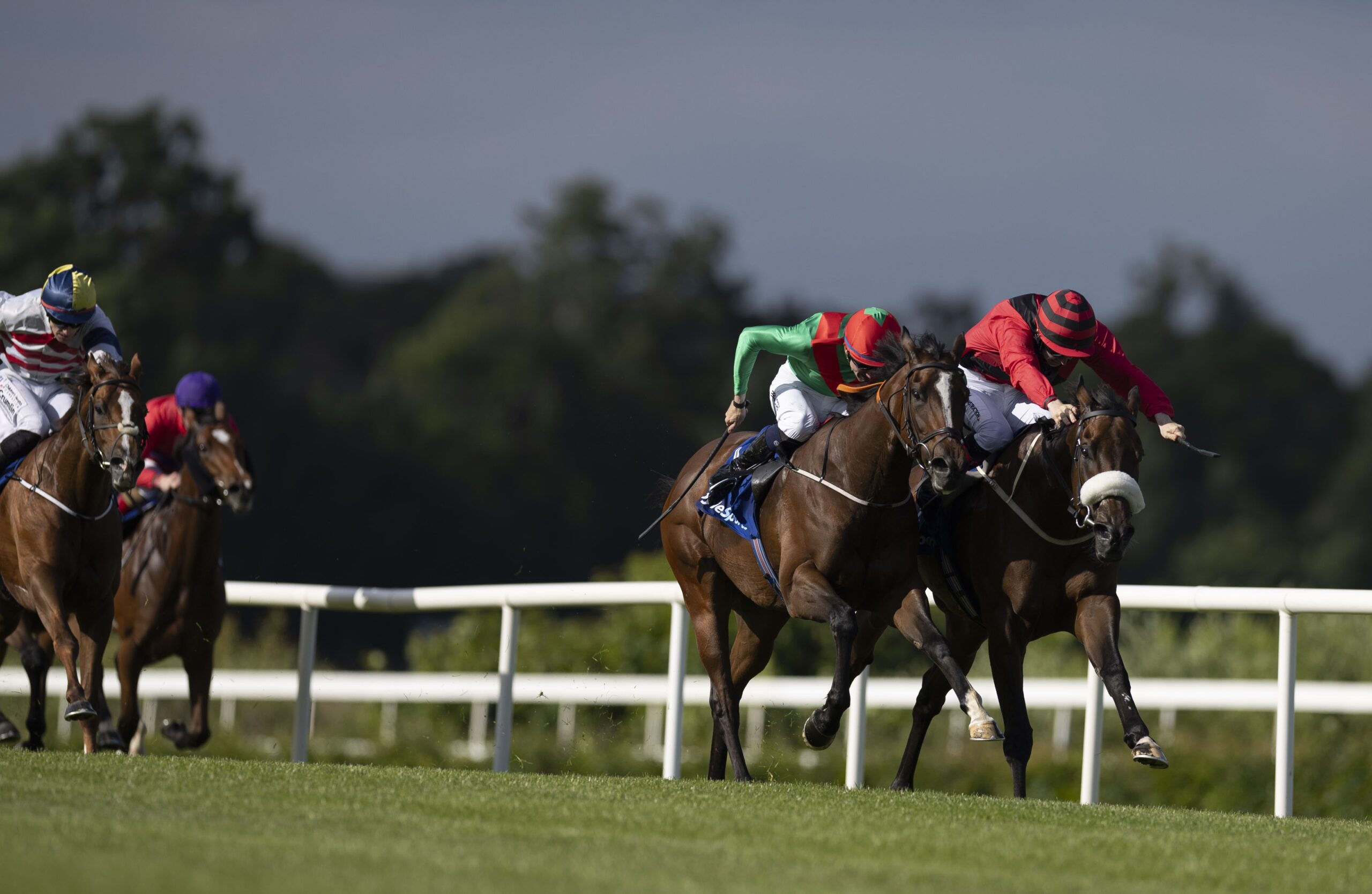 Mutasarref Game Winner Of Group 3 Ballycorus Stakes