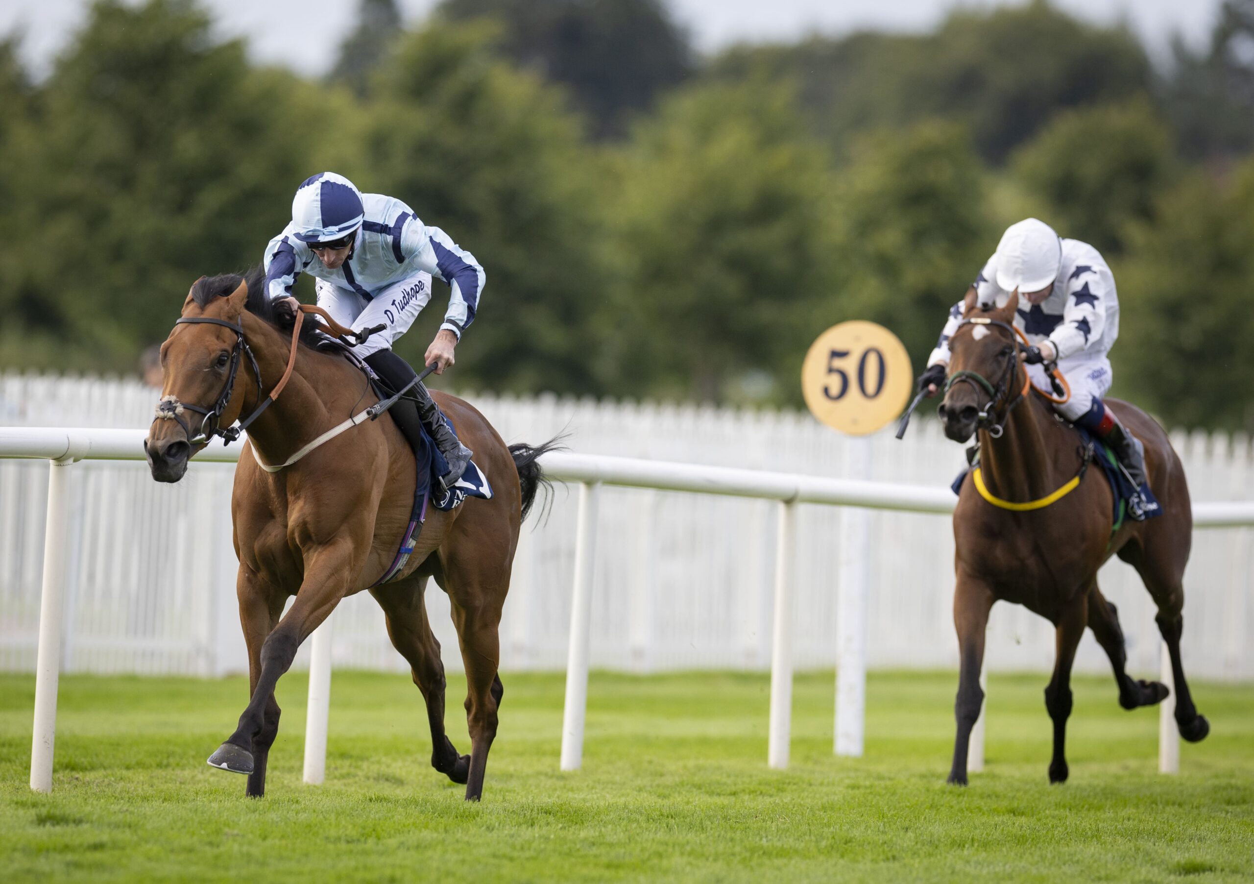 Nighteyes Thunders Home In Yeomanstown Stud Irish EFB Listed Stakes At Naas Racecourse