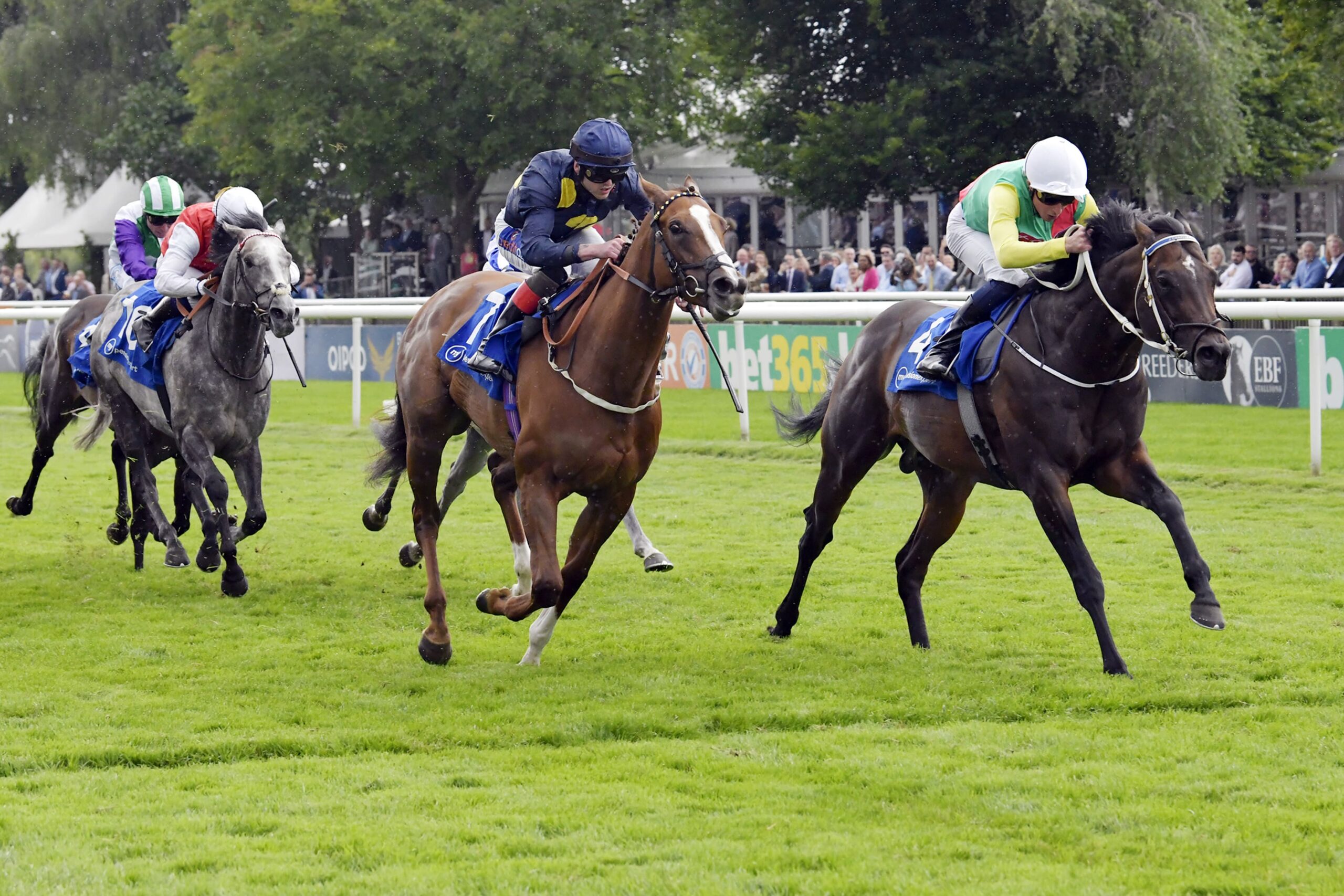 Group 1 July Cup Winner Mill Stream Retires To Yeomanstown Stud