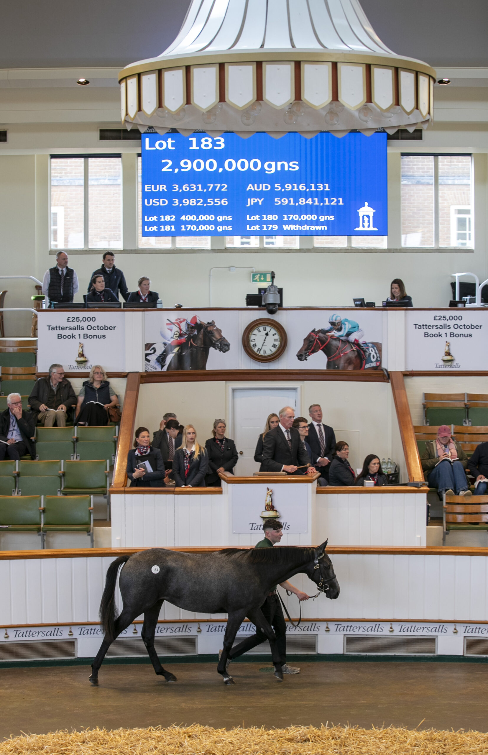 Godolphin outgun Amo Racing To Secure 2,900,000GNS Dark Angel Full-Sister To Group 1 Miler Charyn