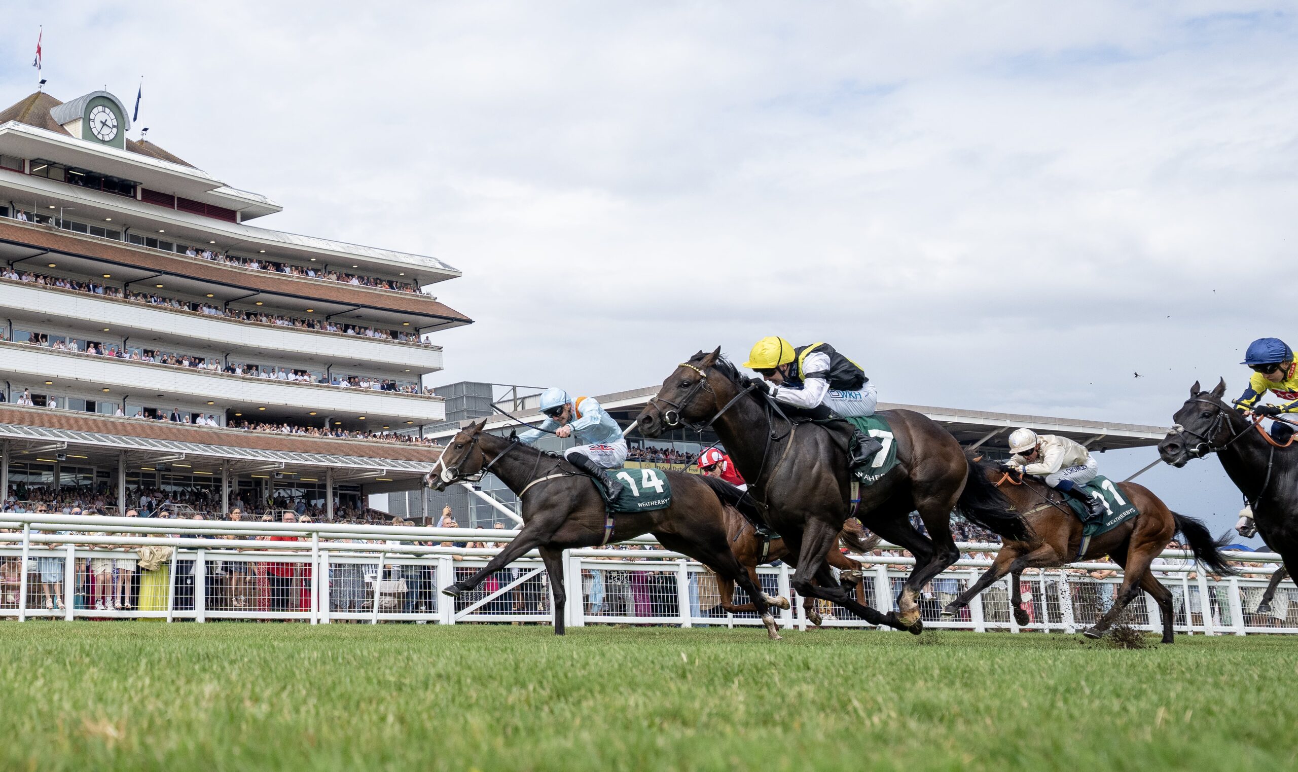 Daughter Of Supremacy Anthelia Comes Out On Top In Weatherbys Super Sprint Thriller