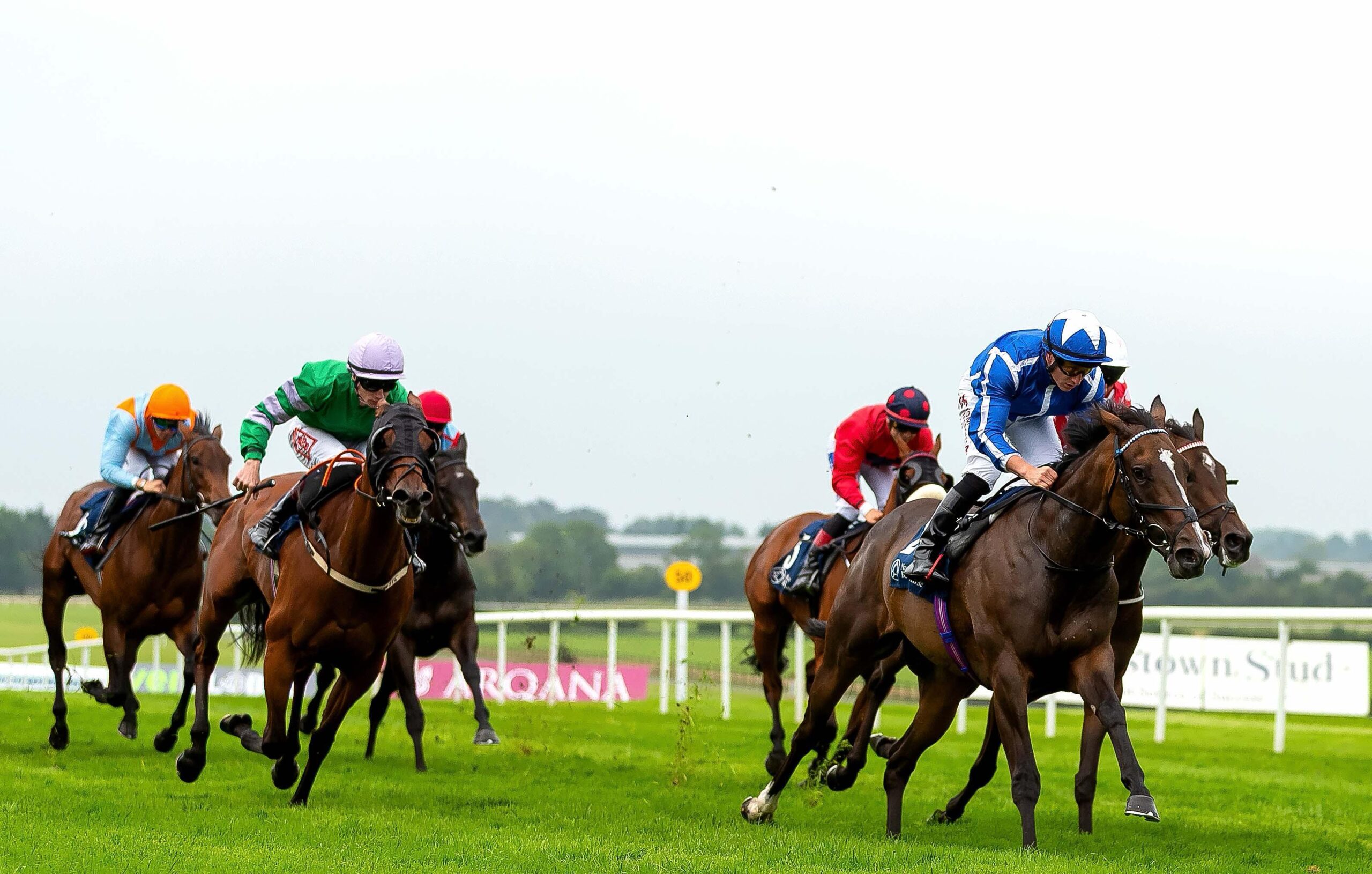 Yeomanstown Stud Irish EBF Stakes Victory for Sky Majesty