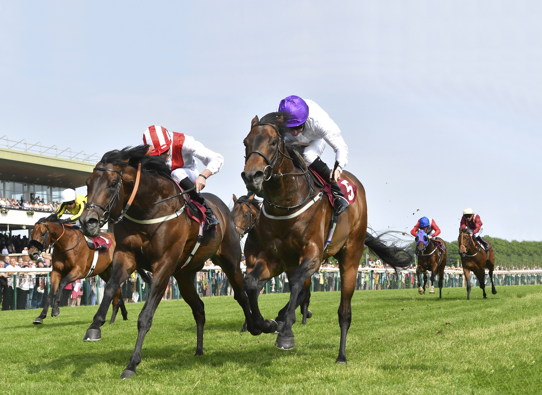 Sands Of Mali Joins Yeomanstown Stud for 2026