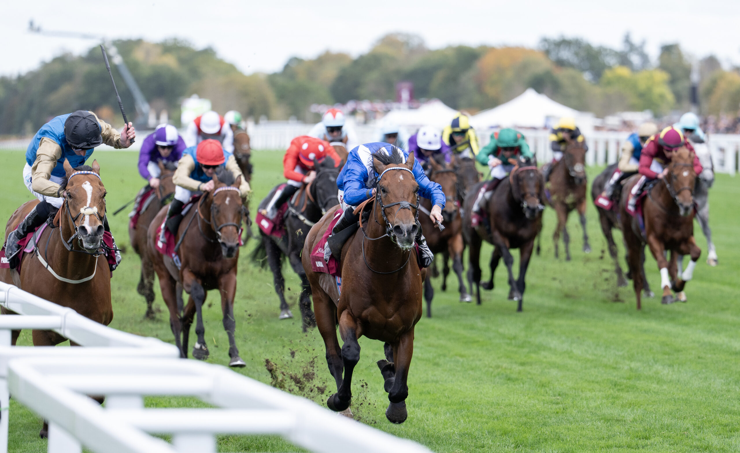 Almeraq Wins Third Group 1 Of The Season In The Champions Sprint Stakes at Ascot